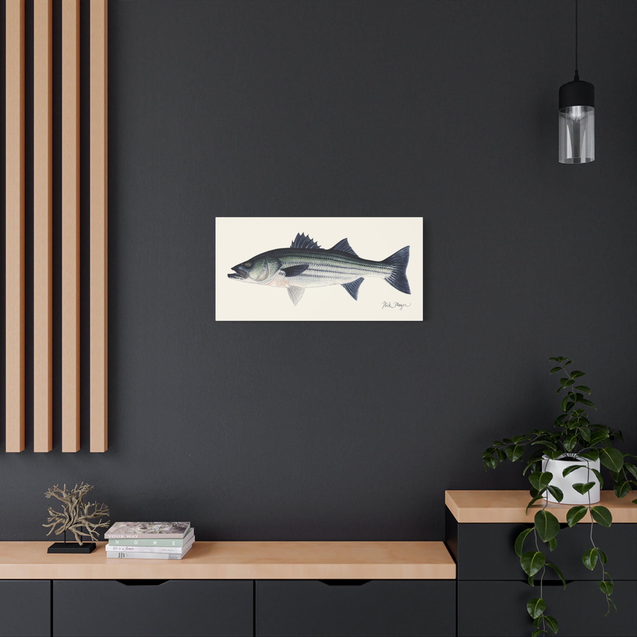 Schoolie Striped Bass I Canvas Print