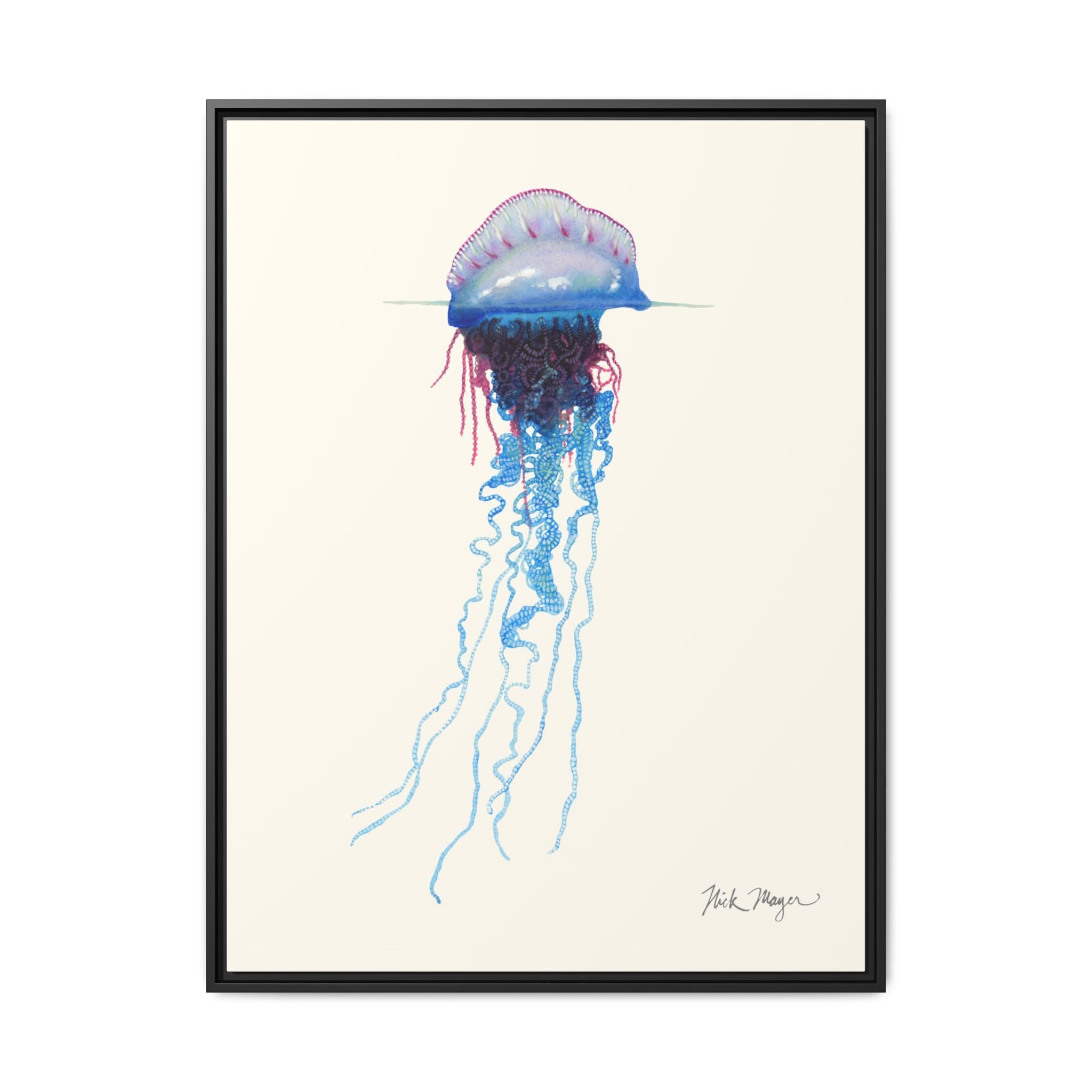 Portuguese Man O' War Framed Canvas Print Printify
