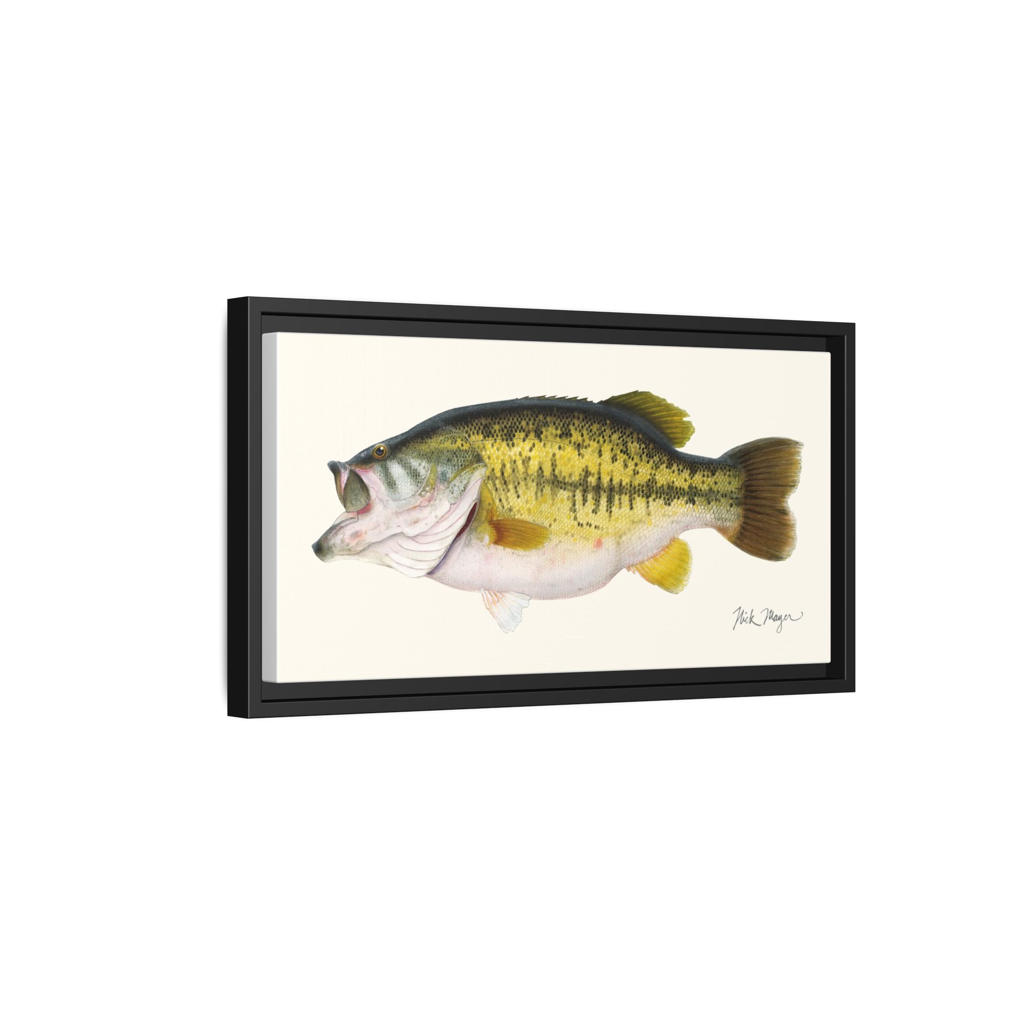 Largemouth Bass II Framed Canvas Print