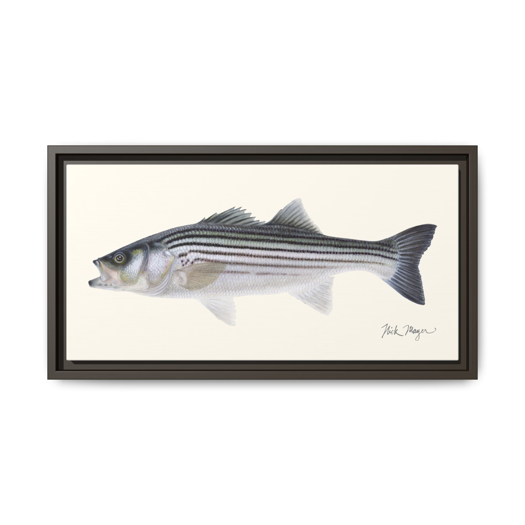 Schoolie Striped Bass Framed Canvas Print Printify
