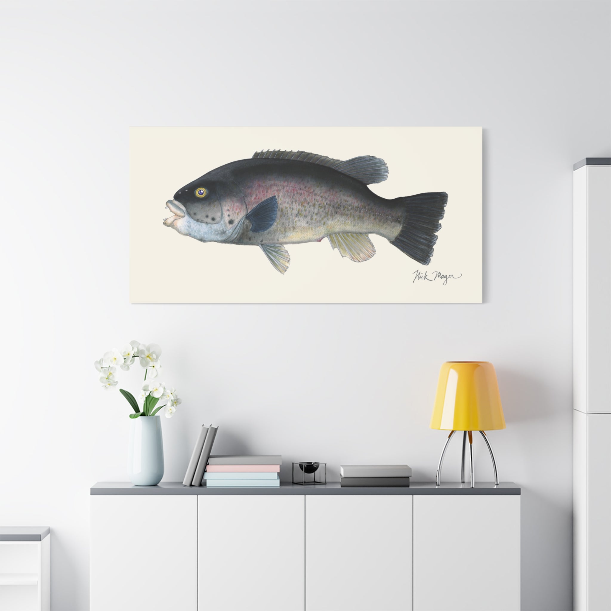 Tautog Canvas Print