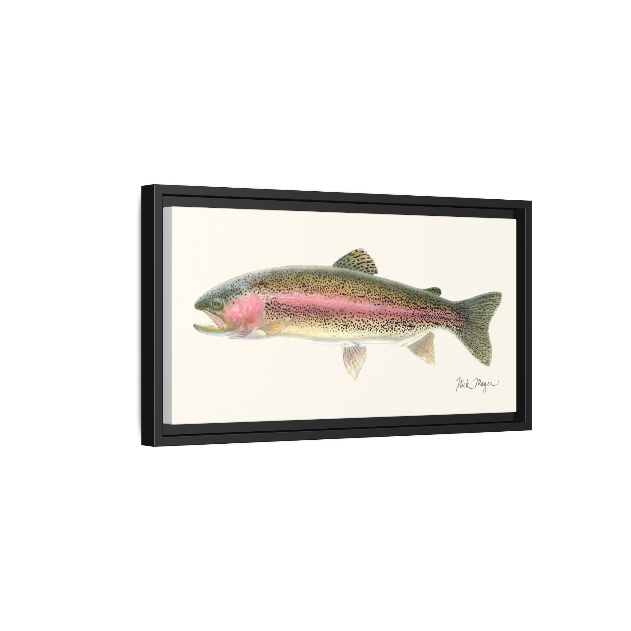 Rainbow Trout Framed Canvas Print Printify