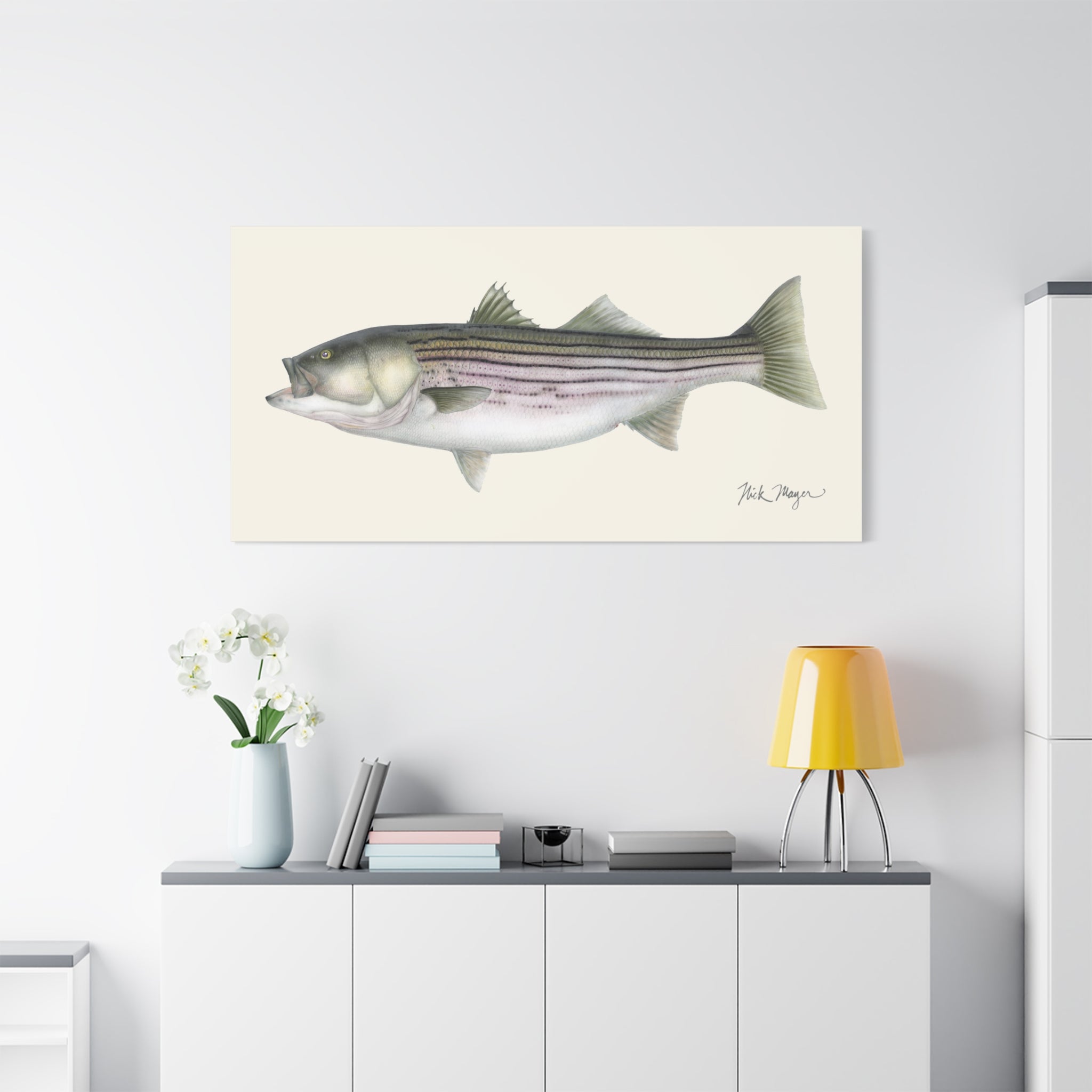 Striped Bass, 30 lbs Canvas Print