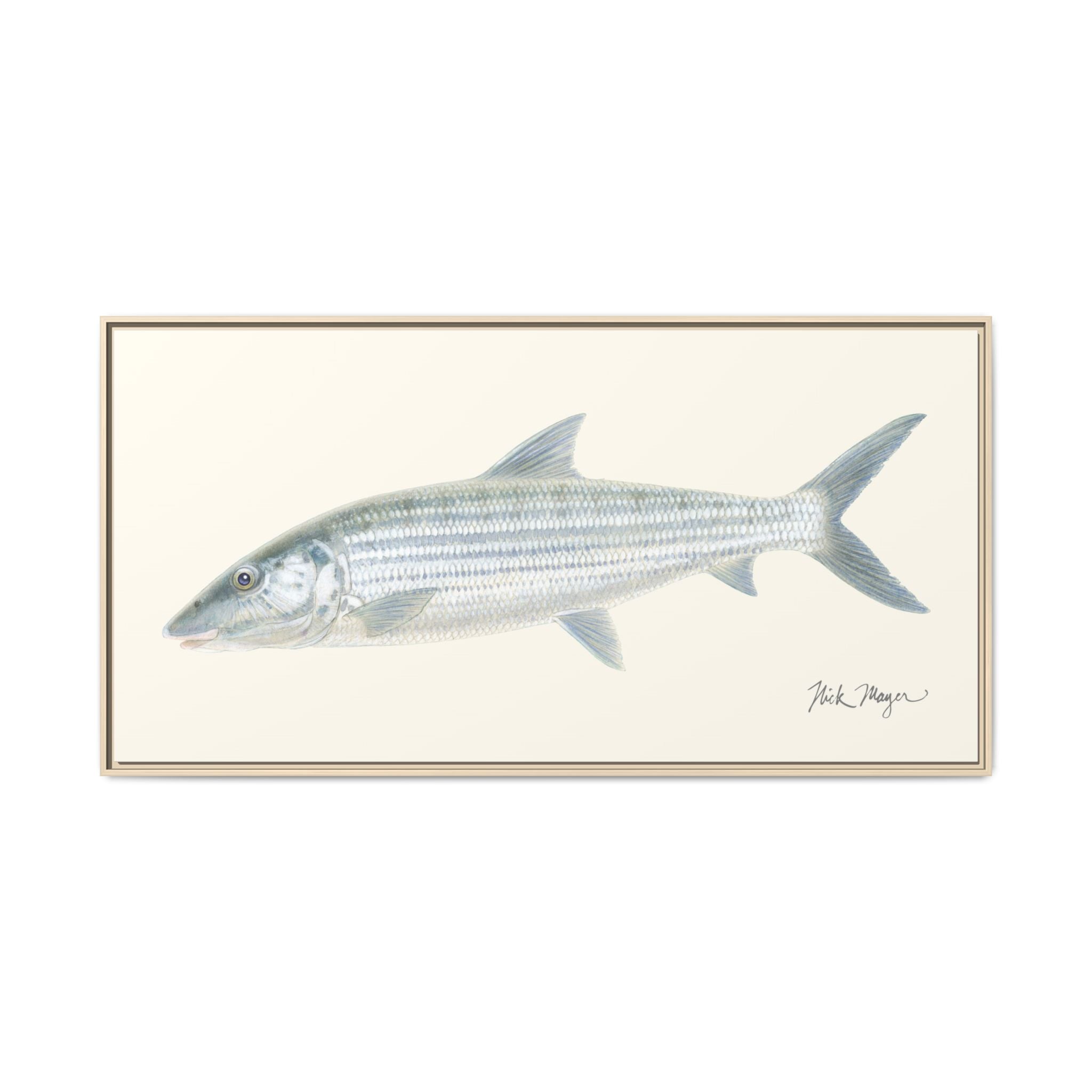 Bonefish Framed Canvas Print Printify