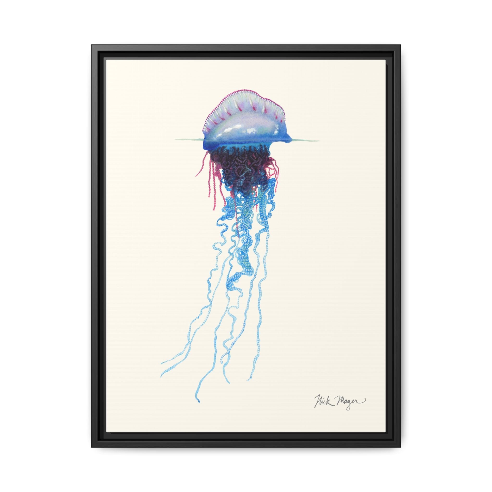 Portuguese Man O' War Framed Canvas Print Printify
