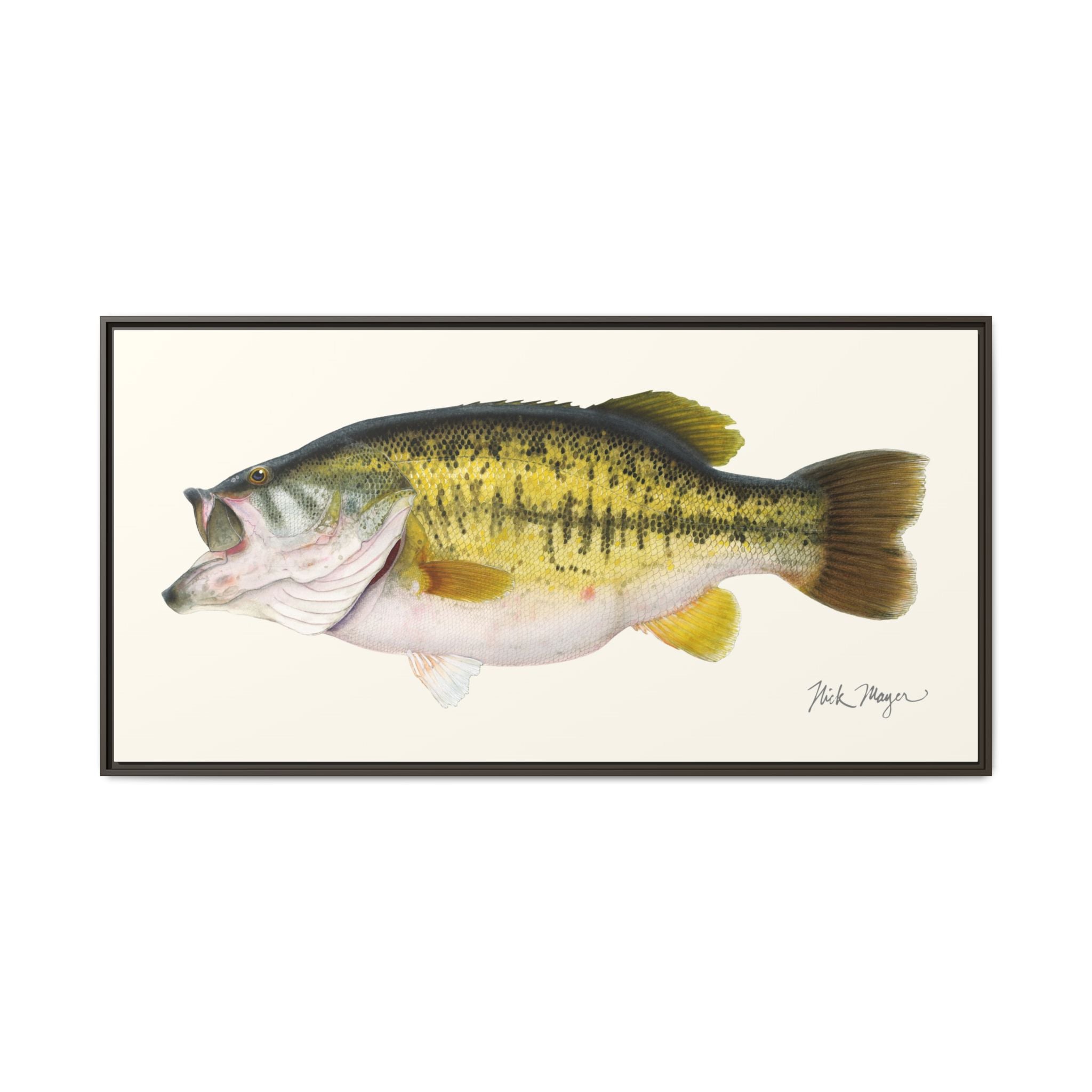 Largemouth Bass II Framed Canvas Print