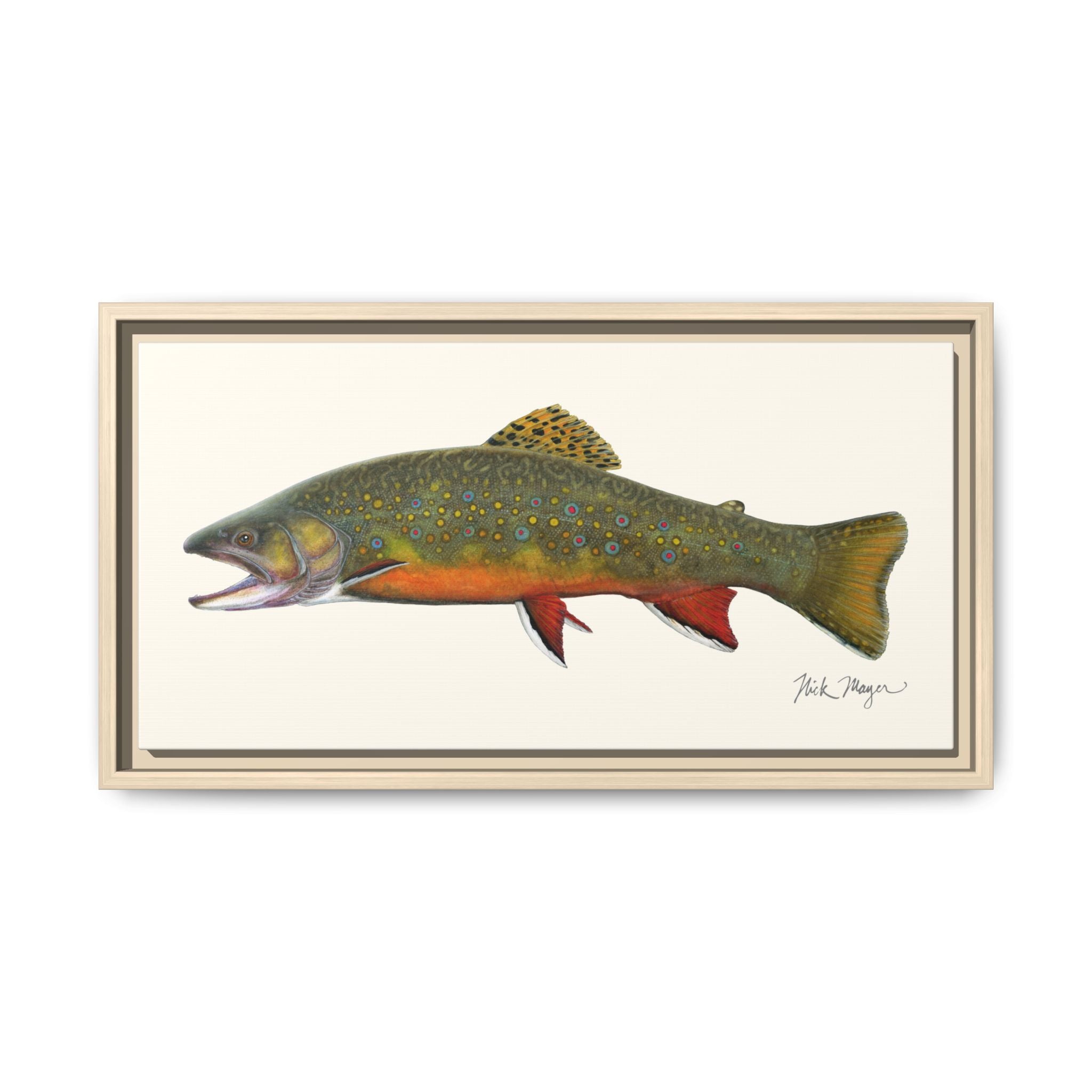 Beaver Pond Brook Trout Framed Canvas Print Printify