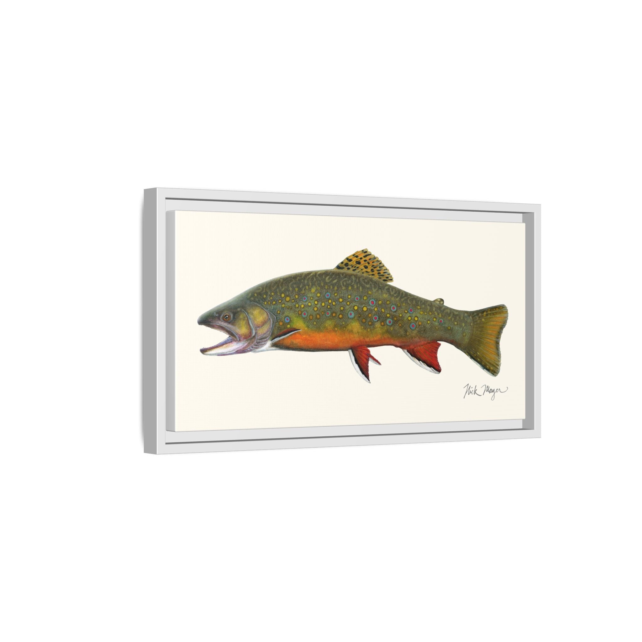 Beaver Pond Brook Trout Framed Canvas Print Printify