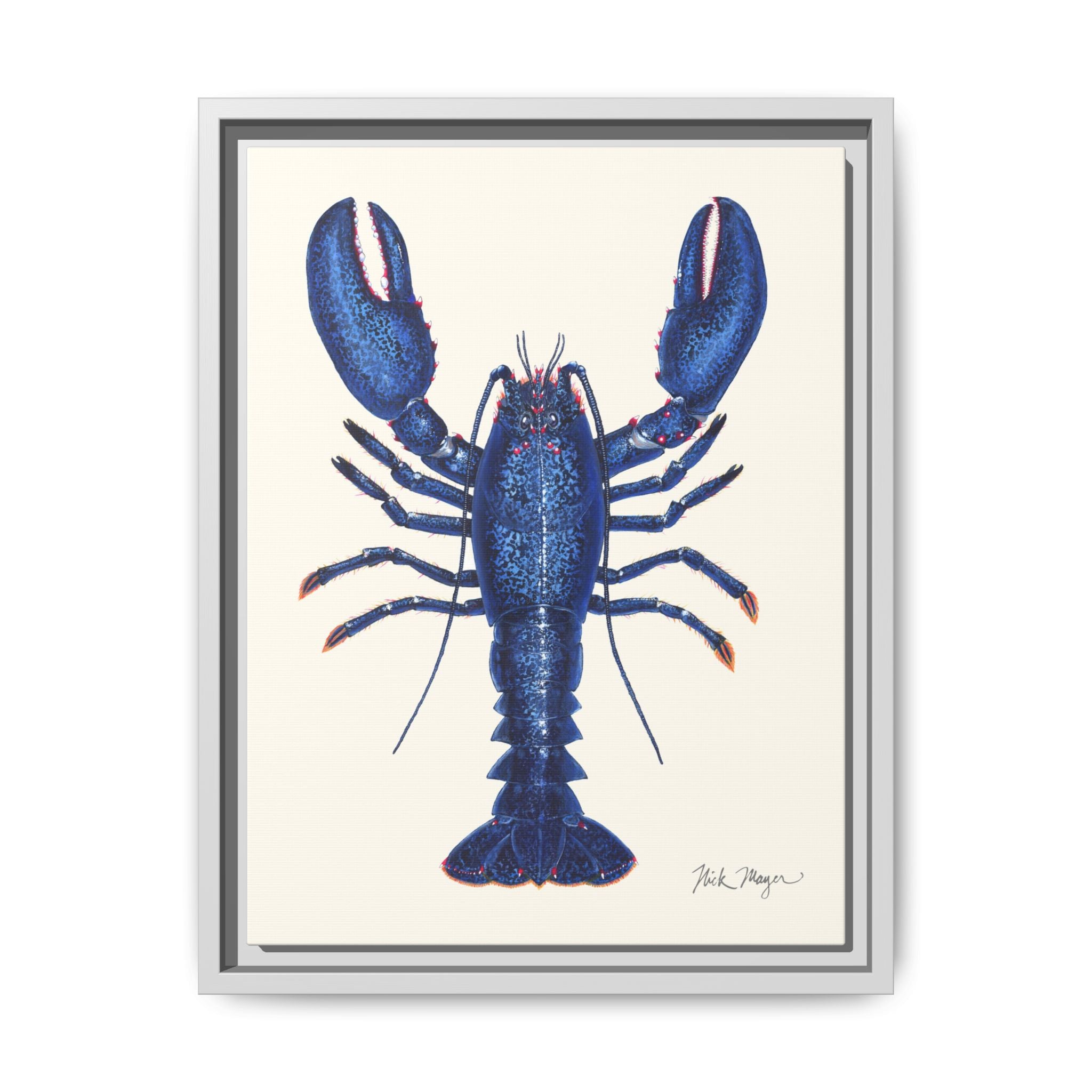Blue Lobster II Framed Canvas Print