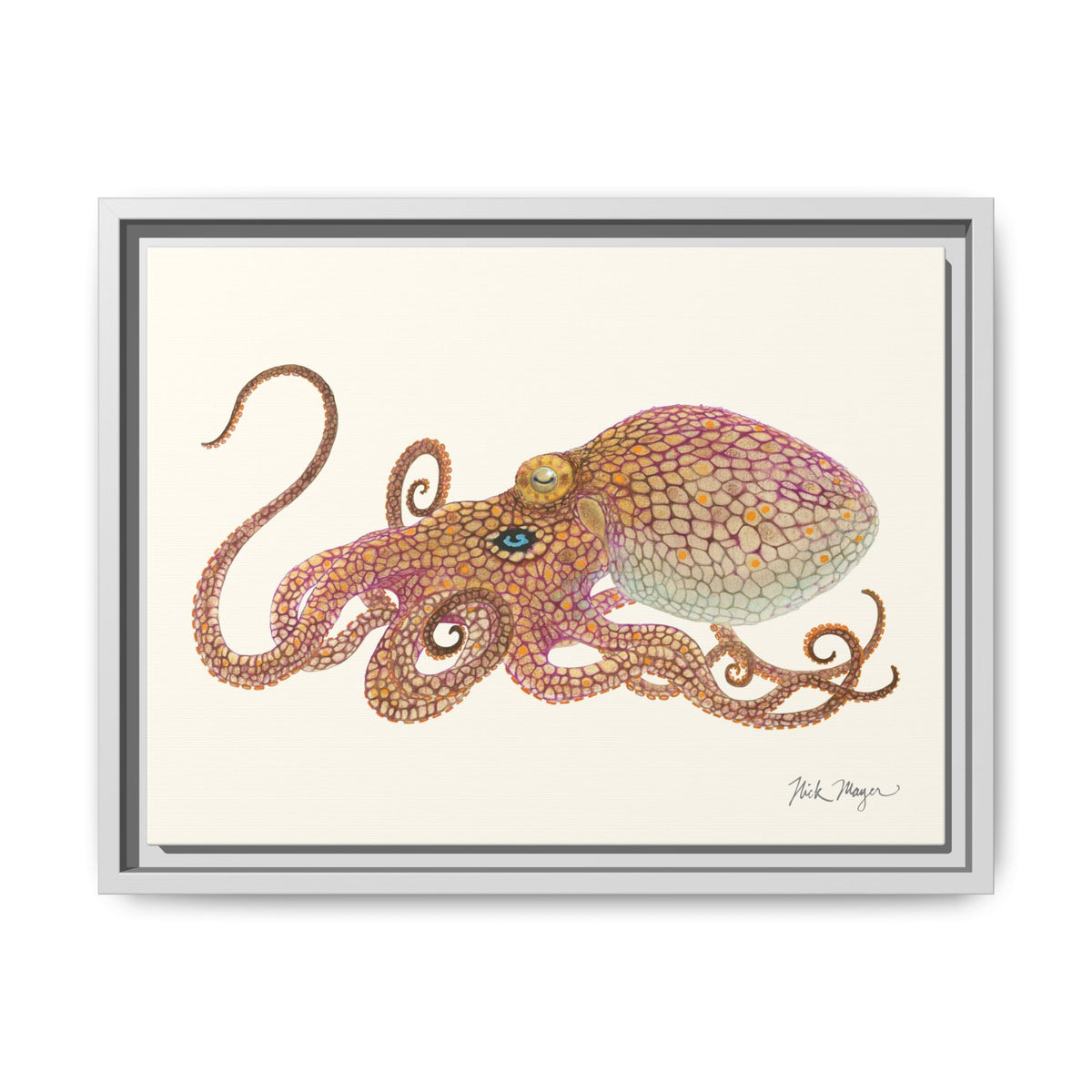Two Spot Octopus Framed Canvas Print Printify