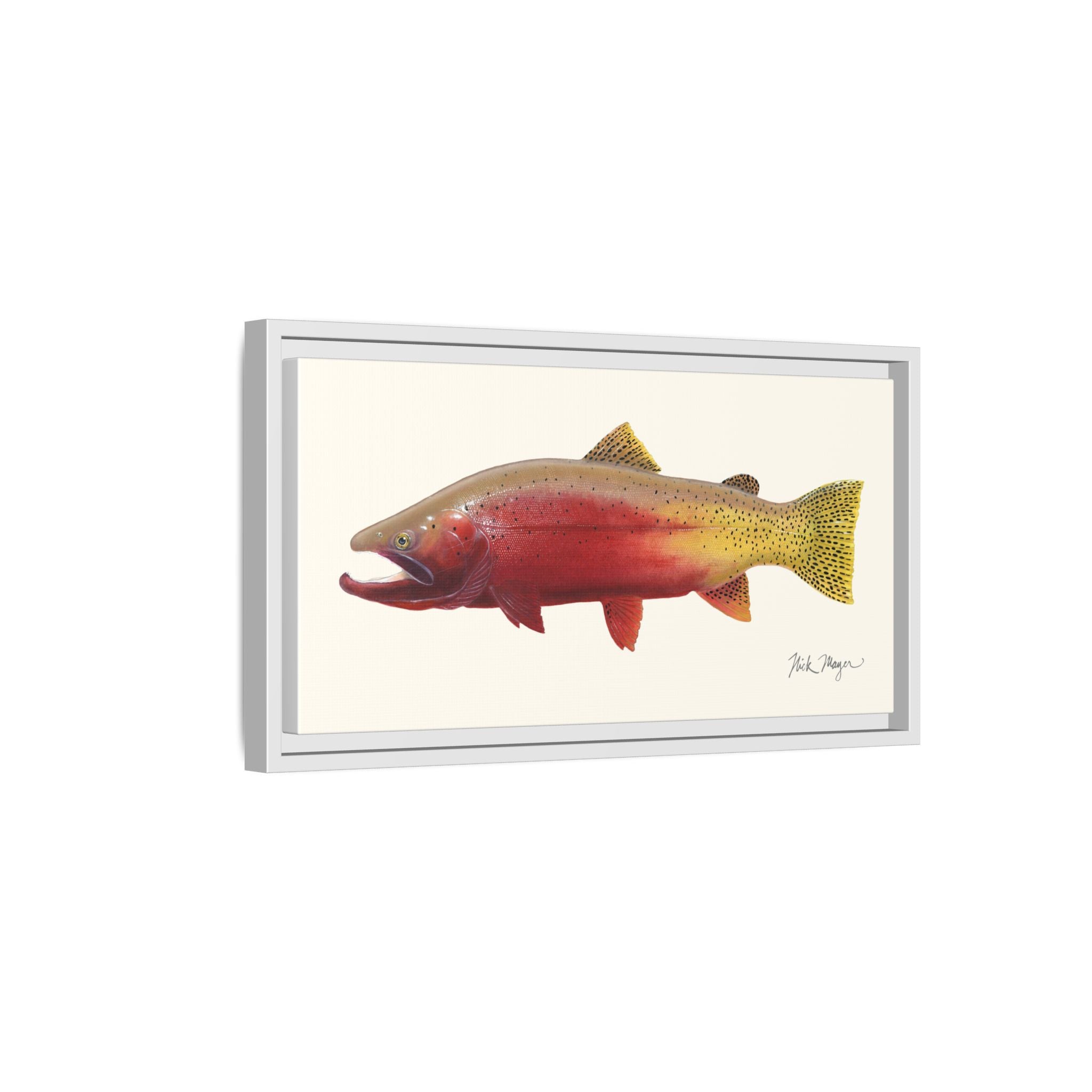 Cutthroat Trout II Framed Canvas Print Printify