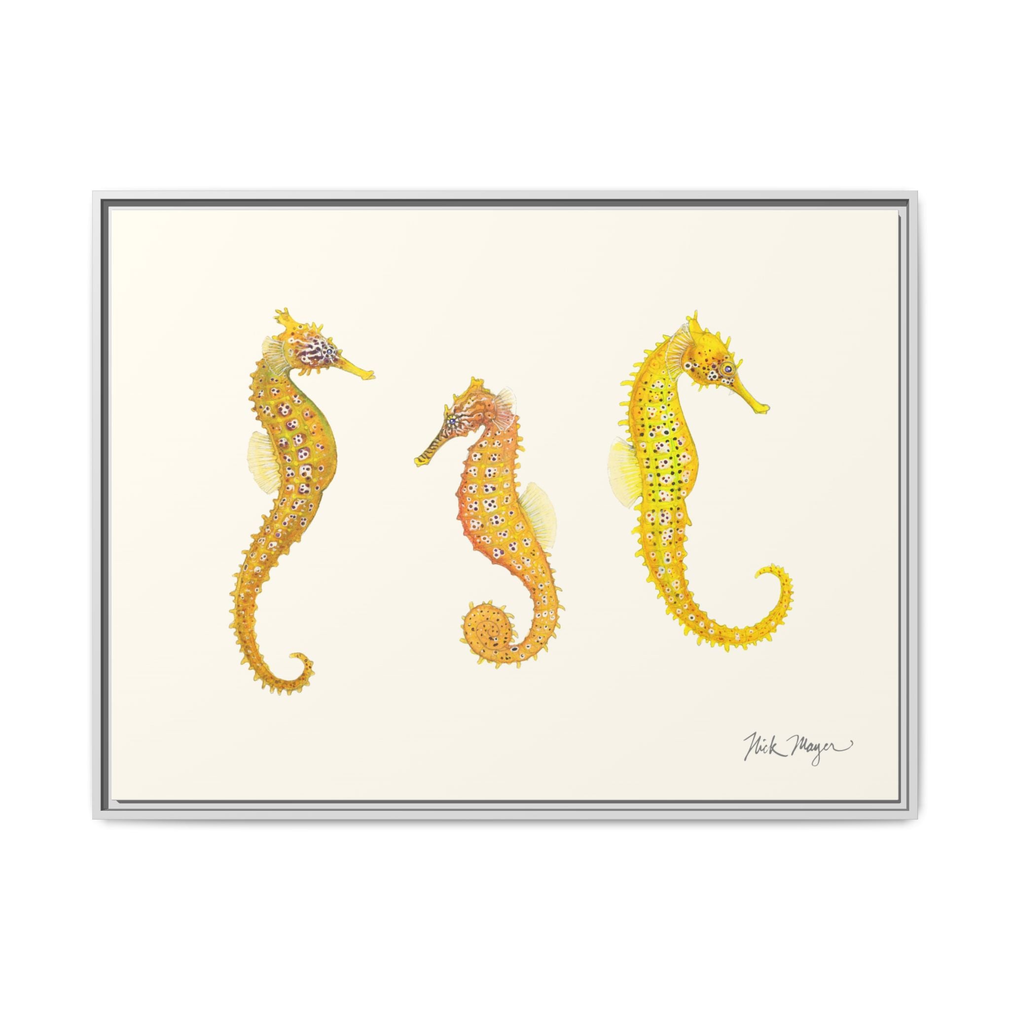 Giant Seahorse Trio Framed Canvas Print Printify