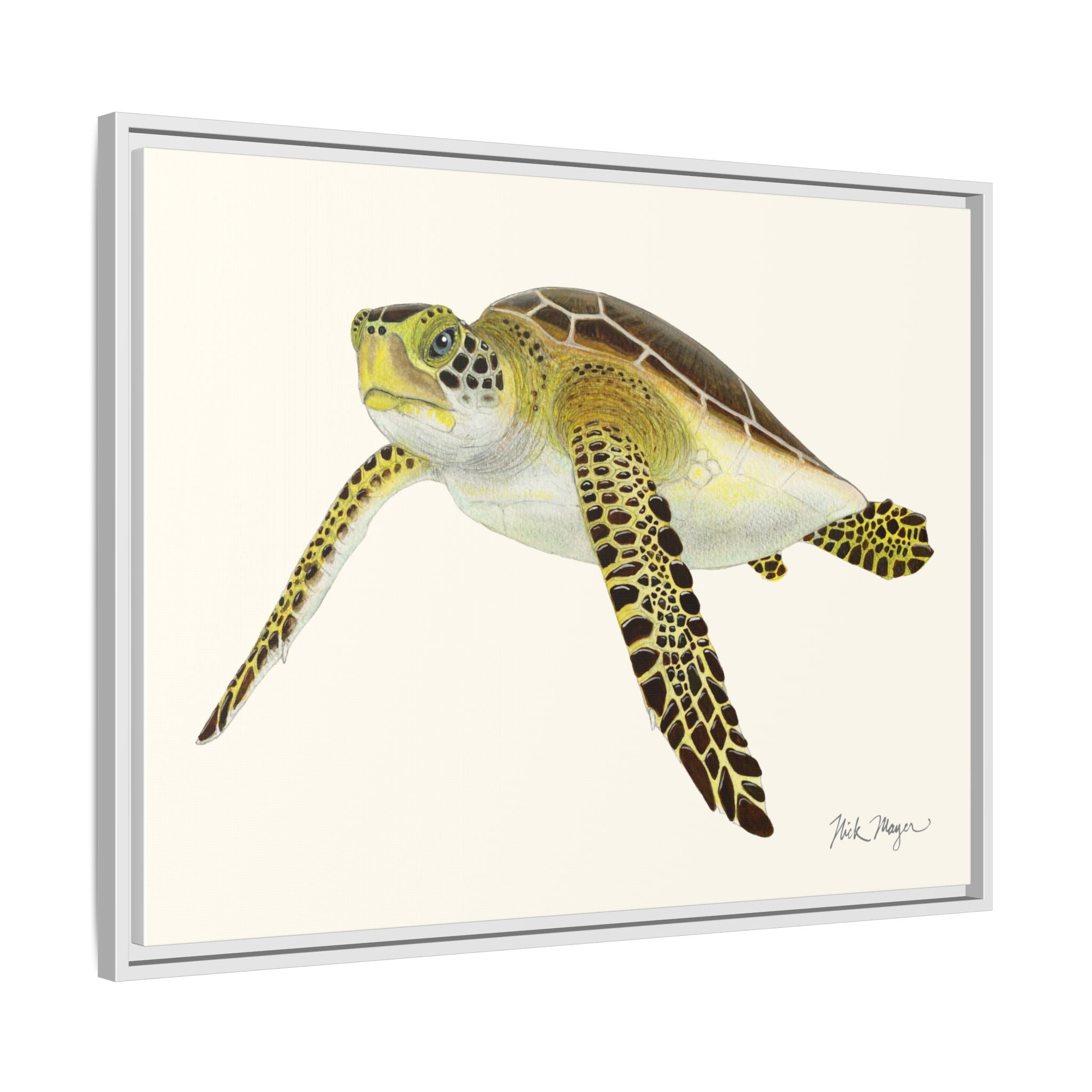 Green Sea Turtle III Framed Canvas Print Printify