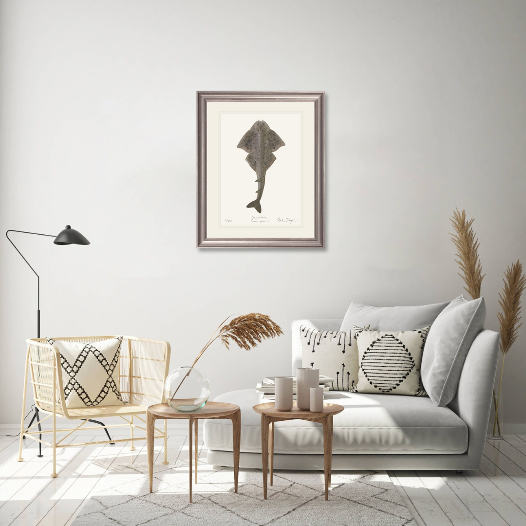Angel Shark Limited Edition Print