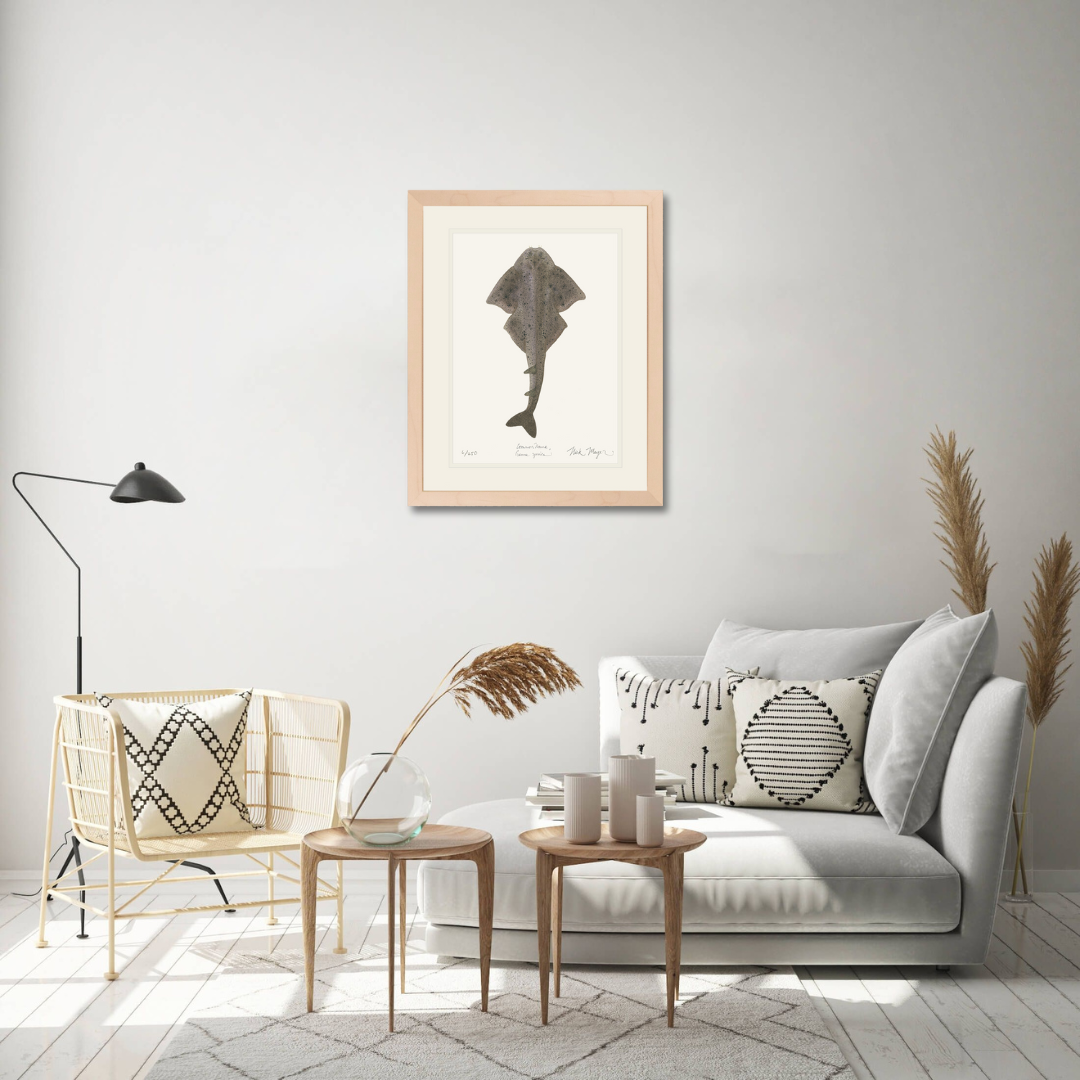 Angel Shark Limited Edition Print