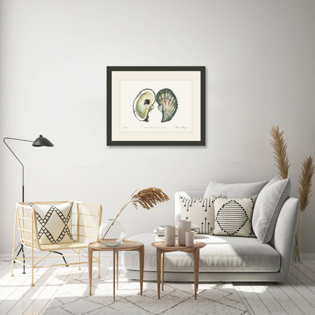 Atlantic Oyster I Limited Edition Print