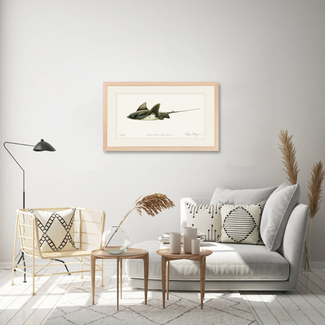 Bat Ray Limited Edition Print