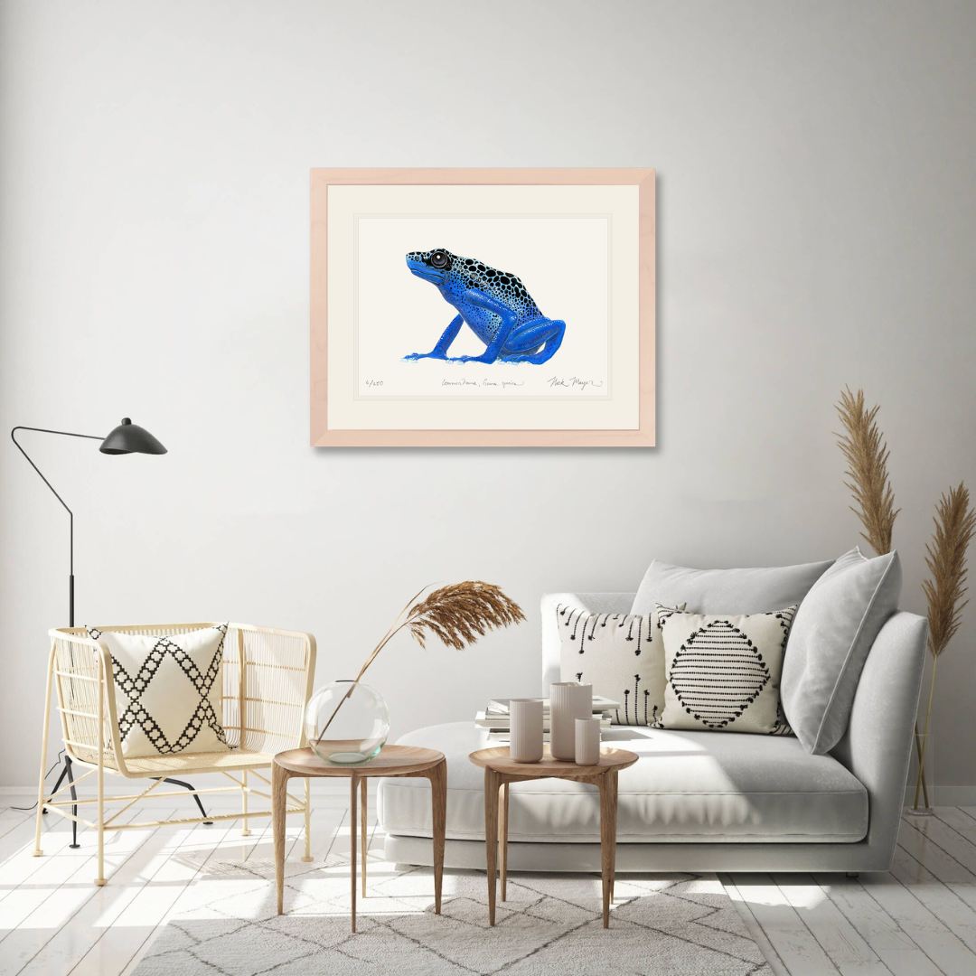 Blue Poison Dart Frog Limited Edition Print