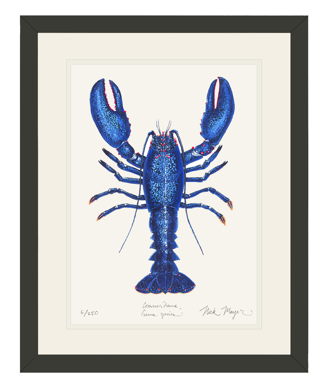 BLUE LOBSTER II: 18" x 24" FRAMED IN BLACK, 1 AVAILABLE, SHIPS MONDAY 12/18/23!
