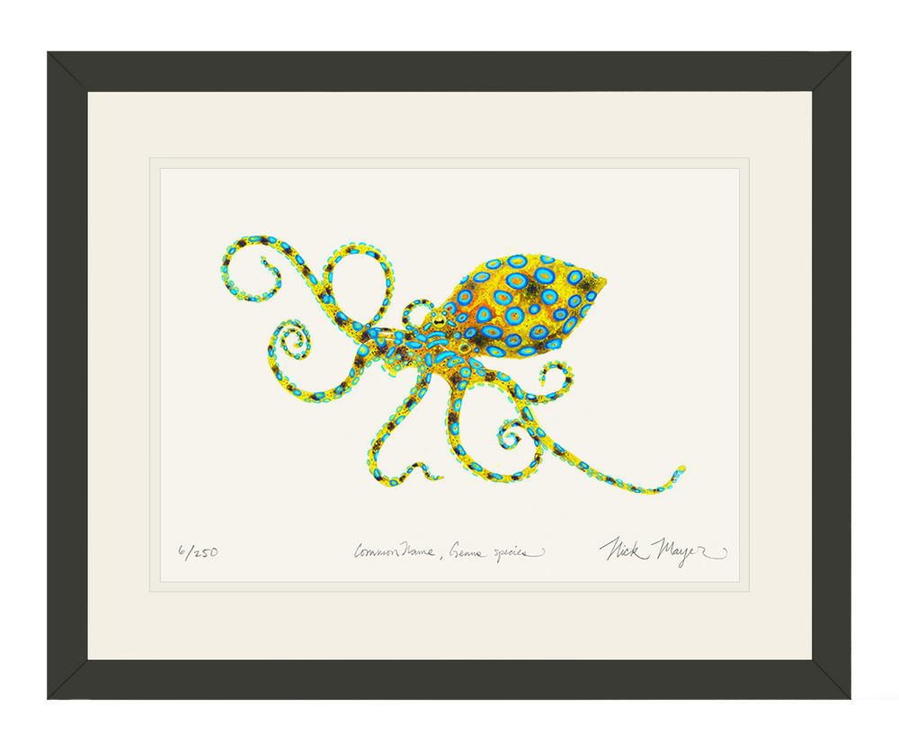 Deadly & Beautiful: Blue Ringed Octopus Print