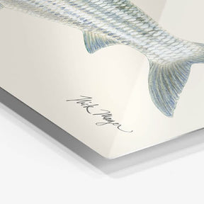 Bonefish Metal Print, NEW!
