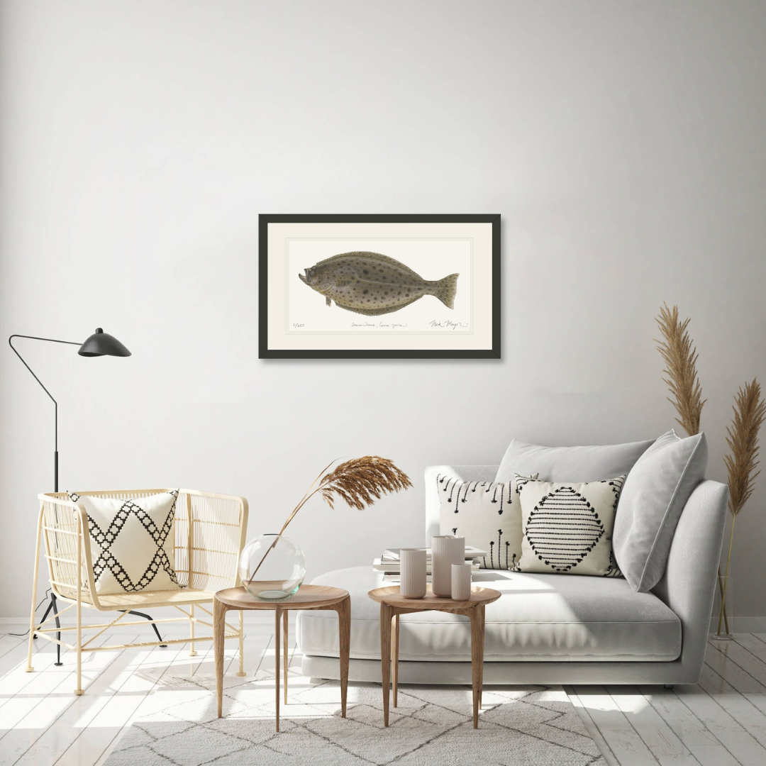 California Halibut Limited Edition Print
