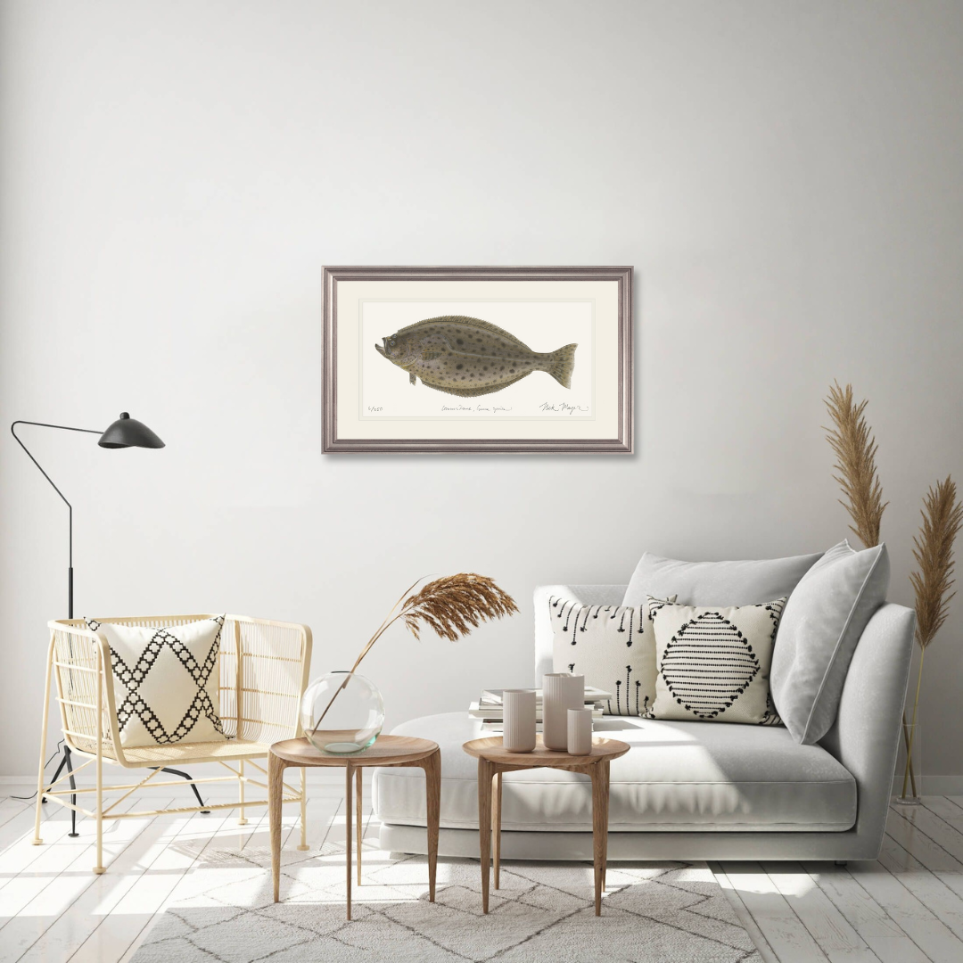 California Halibut Limited Edition Print