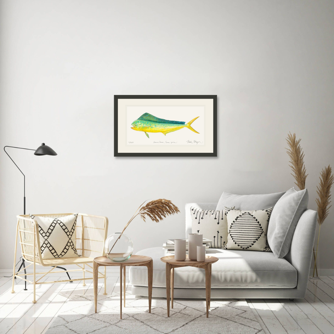 Cow Dorado/ Mahi Limited Edition Print