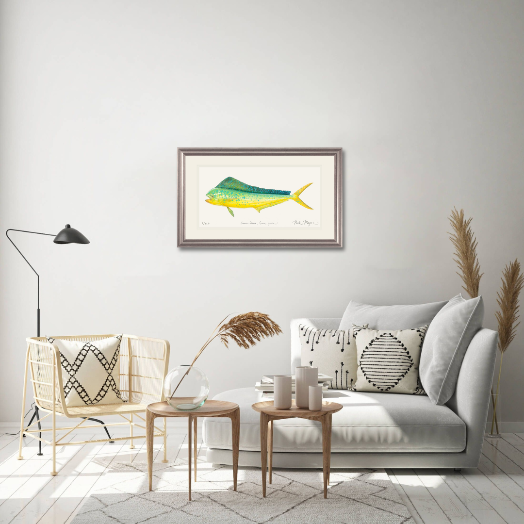 Cow Dorado/ Mahi Limited Edition Print