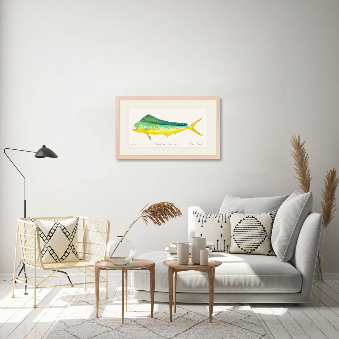 Cow Dorado/ Mahi Limited Edition Print