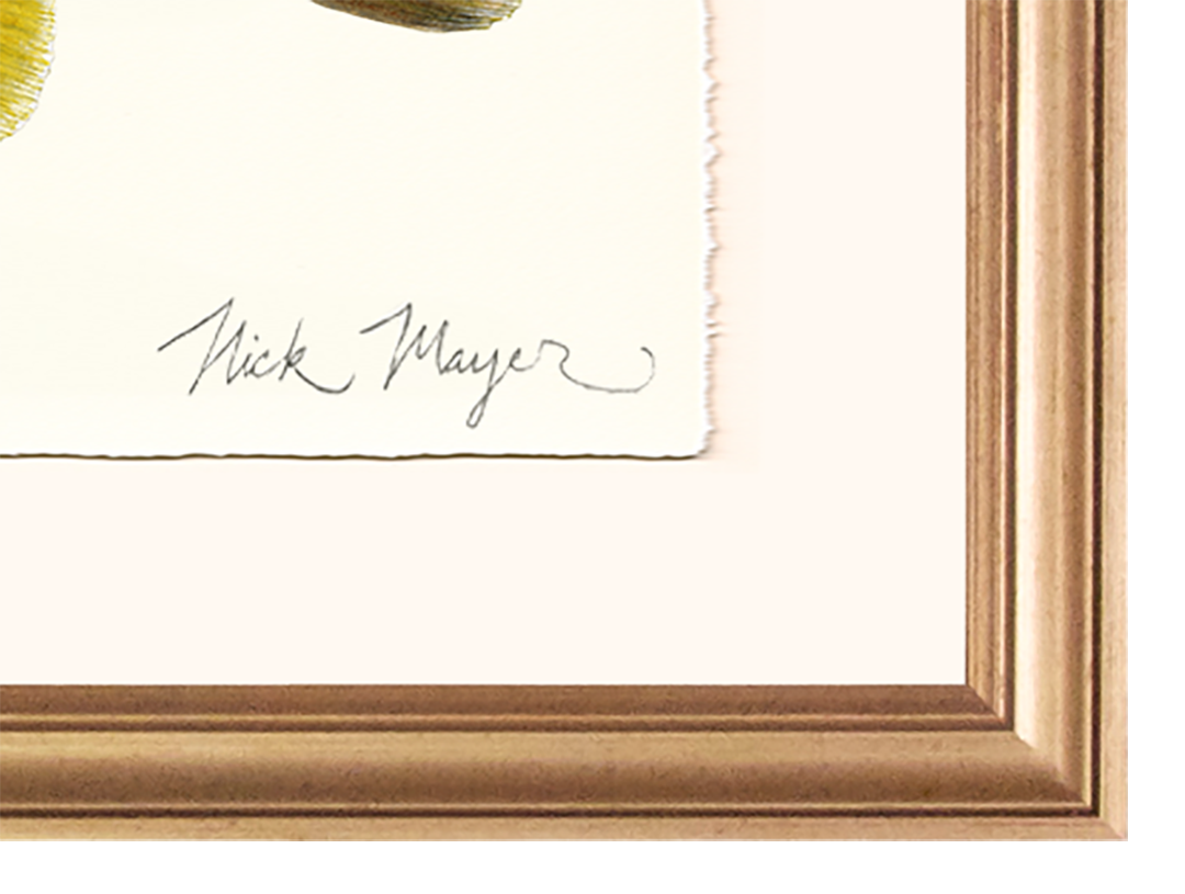 Brown Trout III Limited Edition Print, NEW for March 2026!