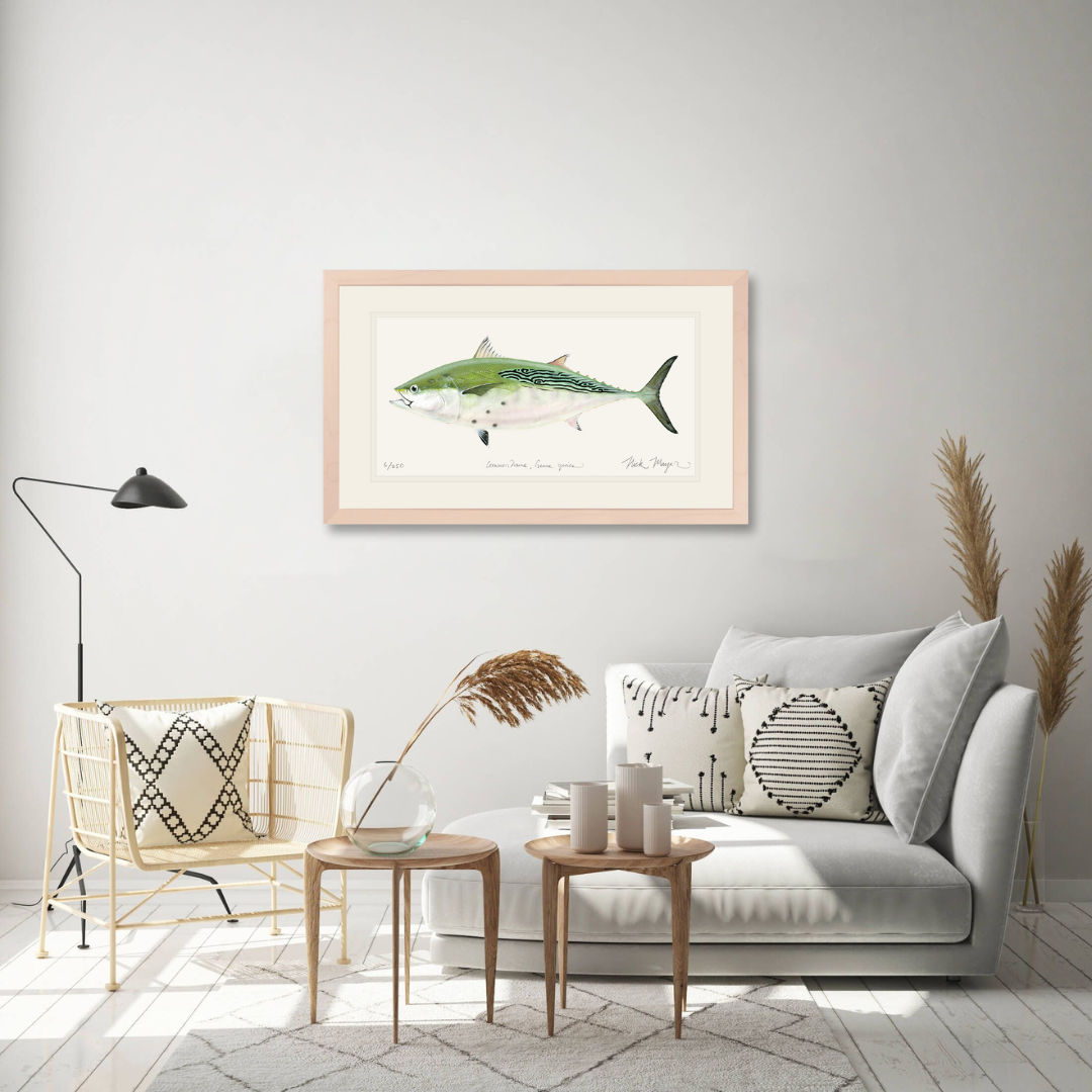False Albacore IV Limited Edition Print - Best Seller