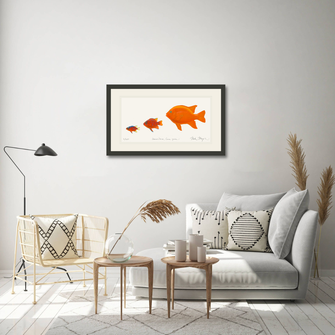 Garibaldi Phases Limited Edition Print