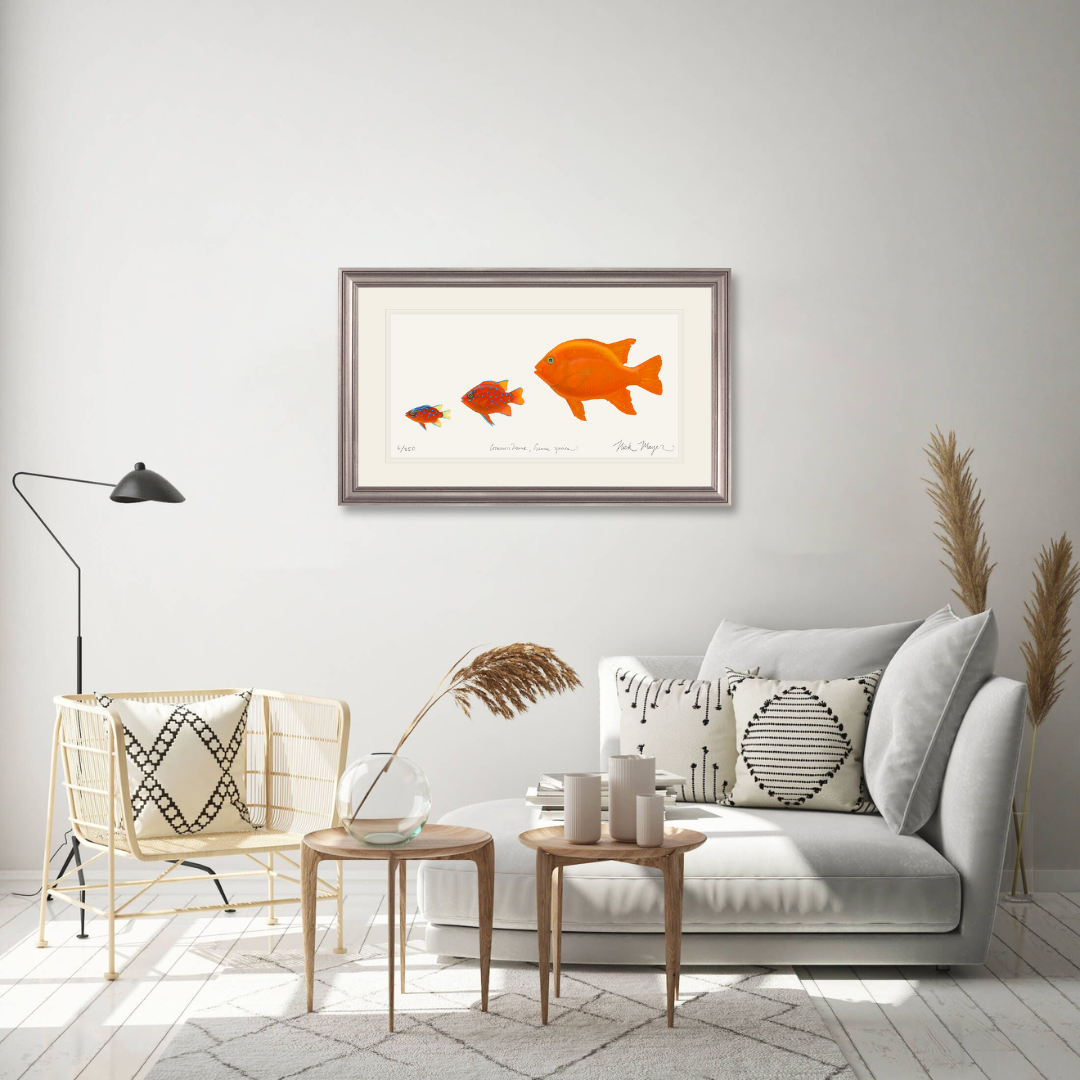 Garibaldi Phases Limited Edition Print