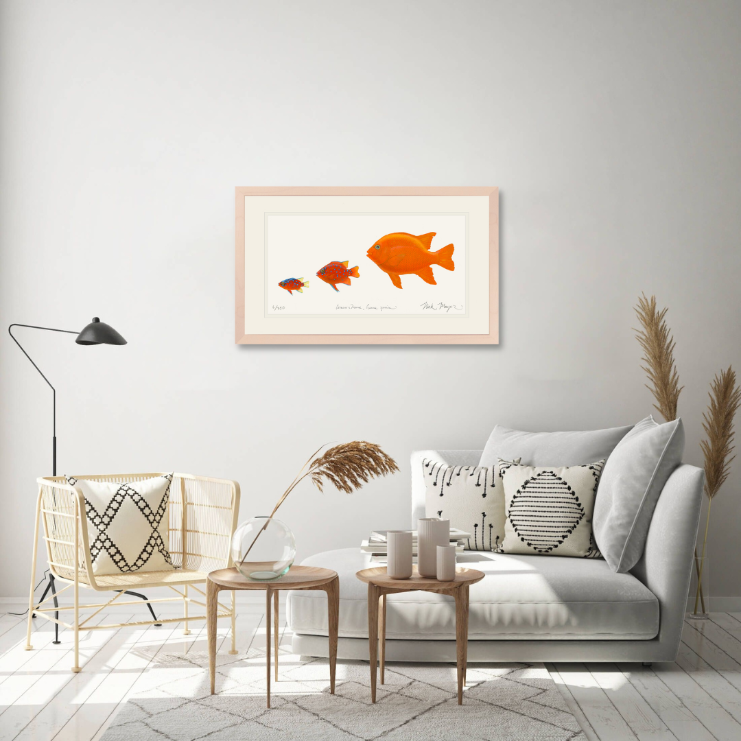 Garibaldi Phases Limited Edition Print