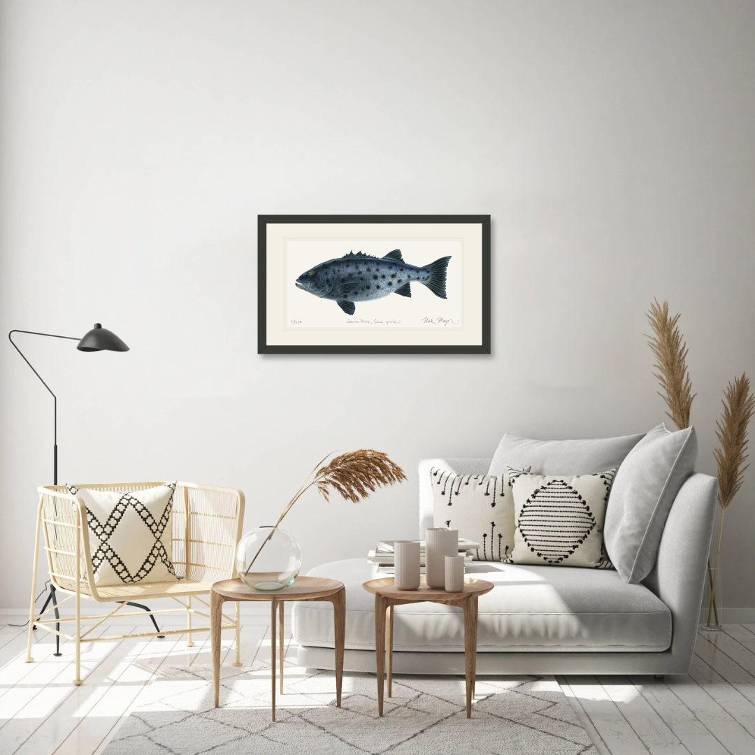 Giant Sea Bass Limited Edition Print