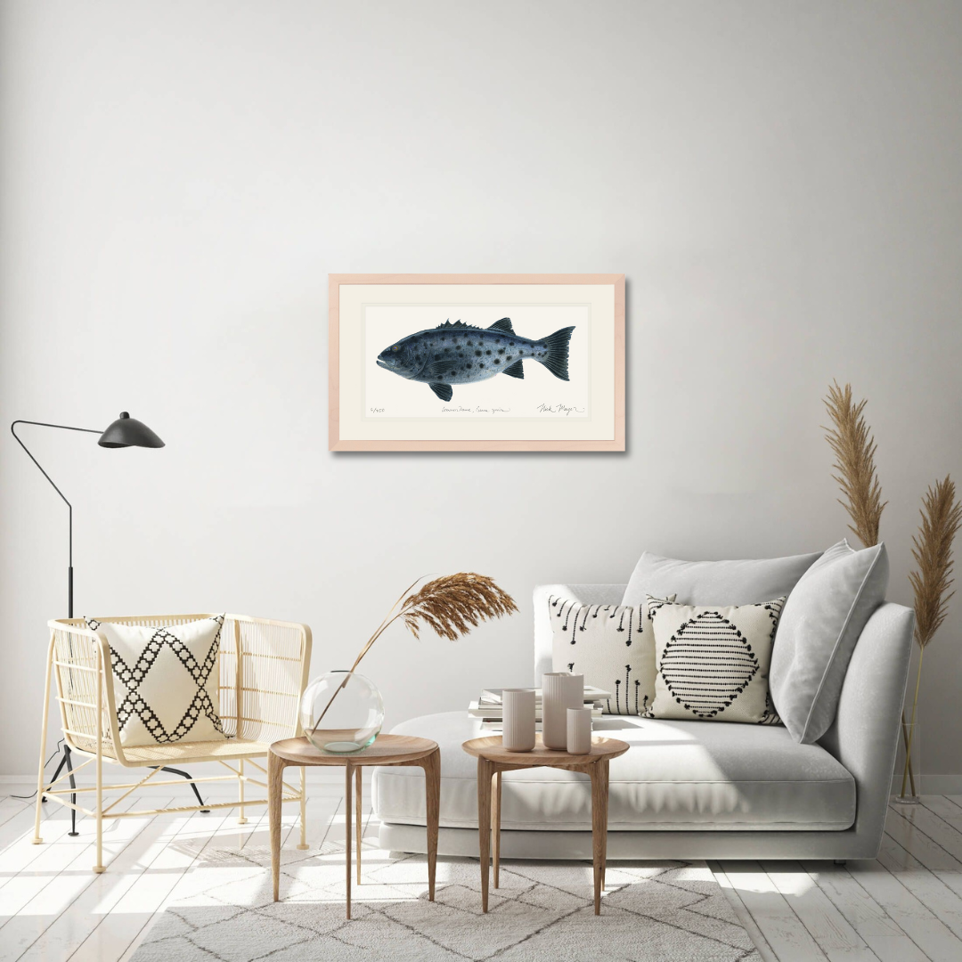 Giant Sea Bass Print
