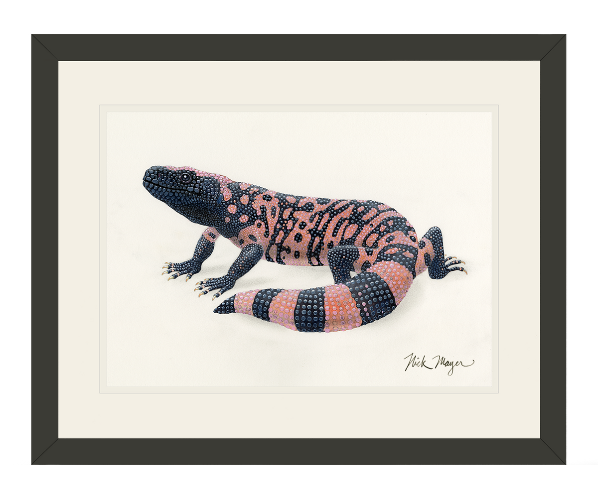 Gila Monster Print