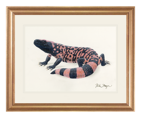 Gila Monster Print
