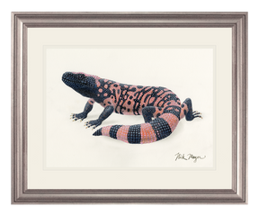 Gila Monster Print