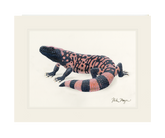 Gila Monster Print