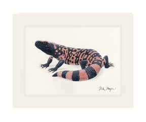 Gila Monster Print