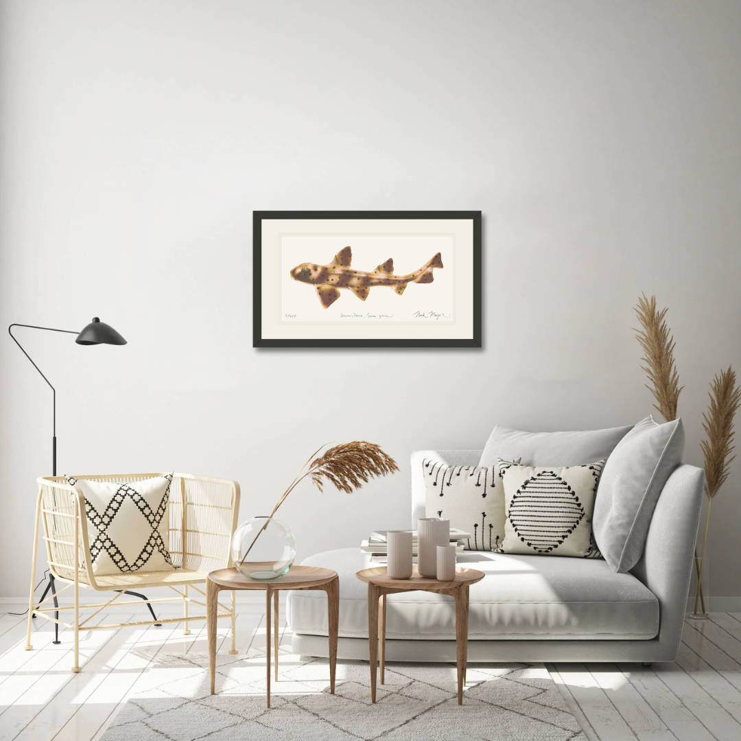 Horn Shark Limited Edition Print