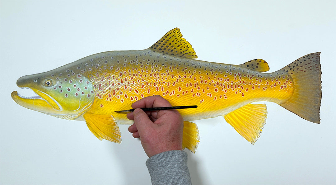 Brown Trout III Limited Edition Print, NEW for 2026!