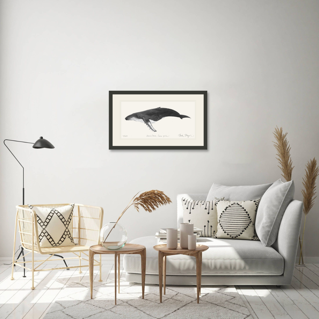 Humpback Whale Print (b&w)