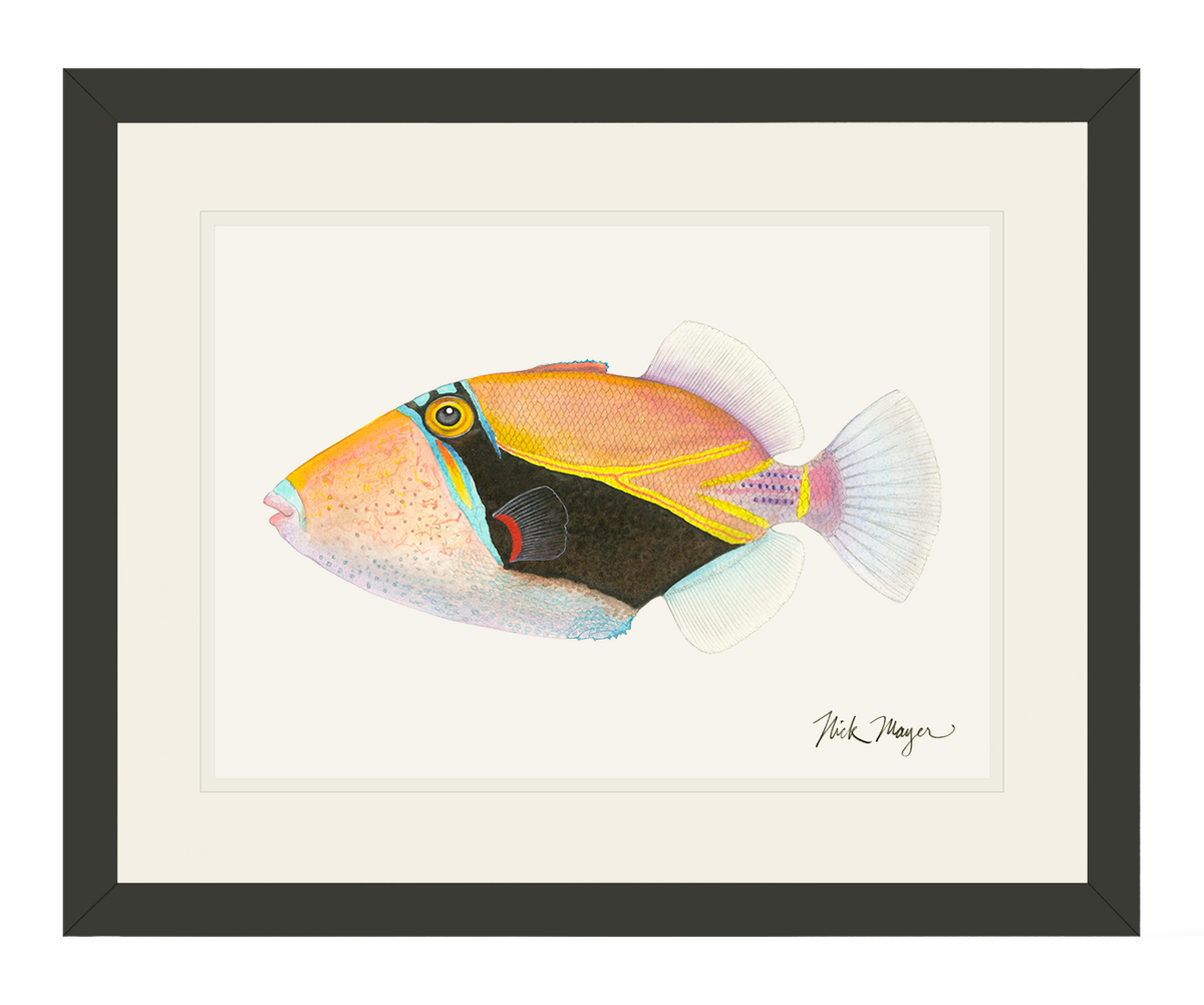 Humuhumunukunukuapua'a Print