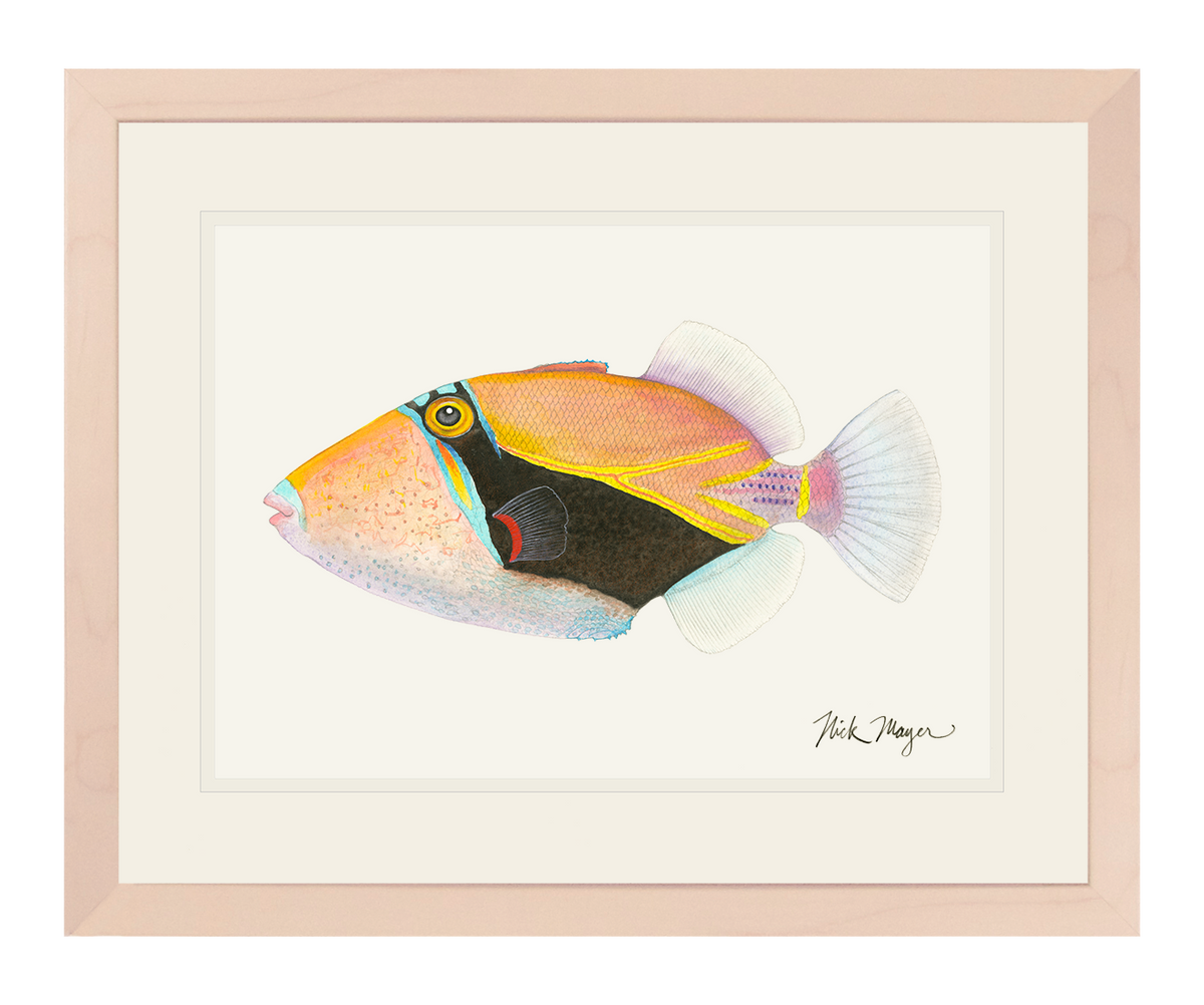 Humuhumunukunukuapua'a Print