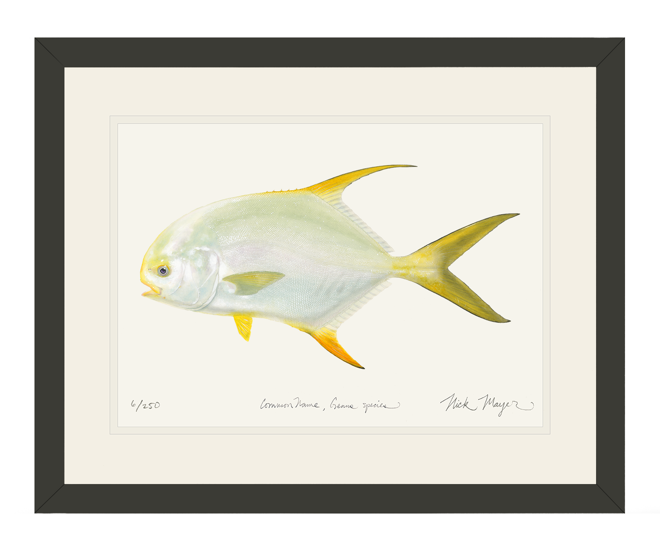 Indo Permit I Limited Edition Print in Black Frame, 11" x 14" - READY TO SHIP