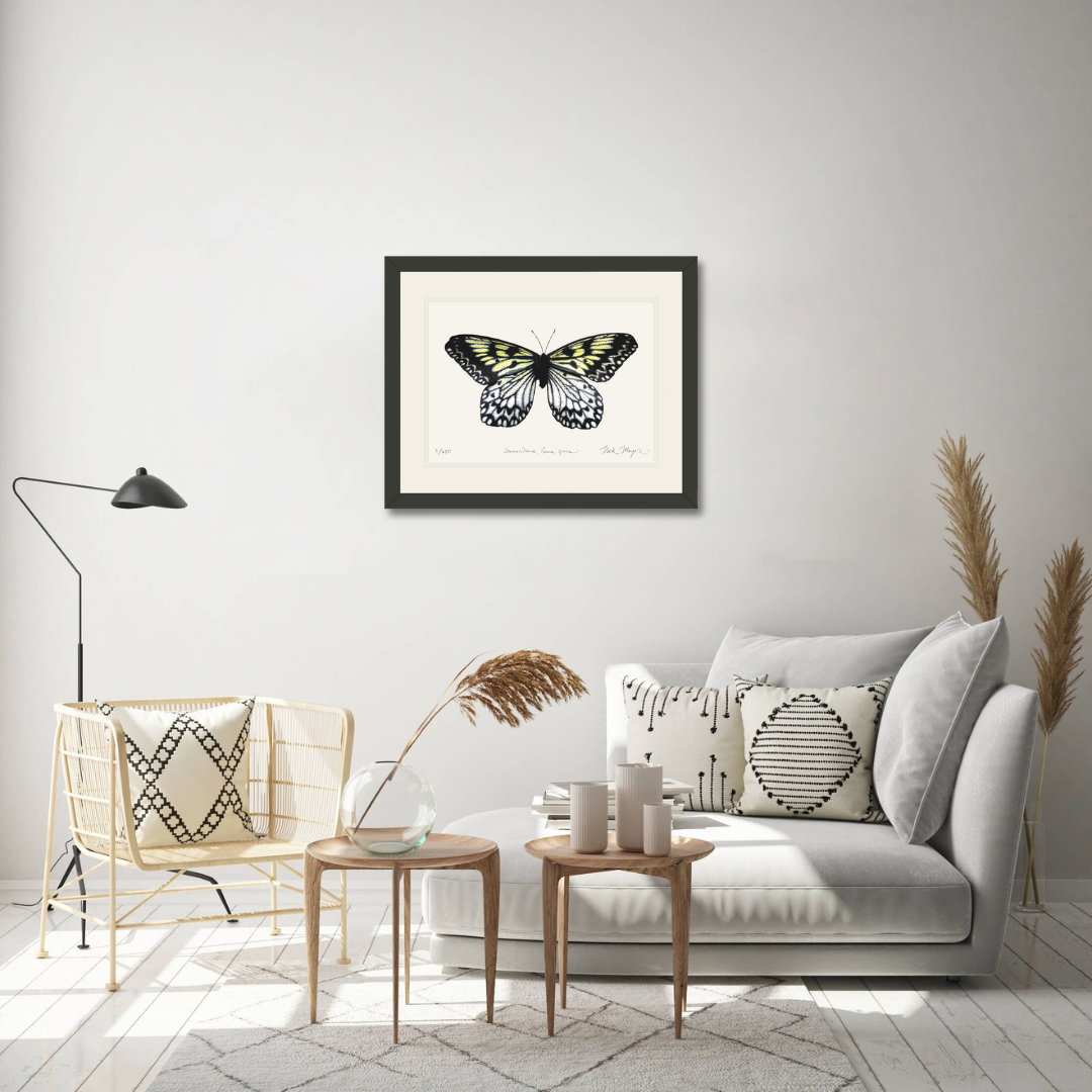 Mangrove Nymph Butterfly Print