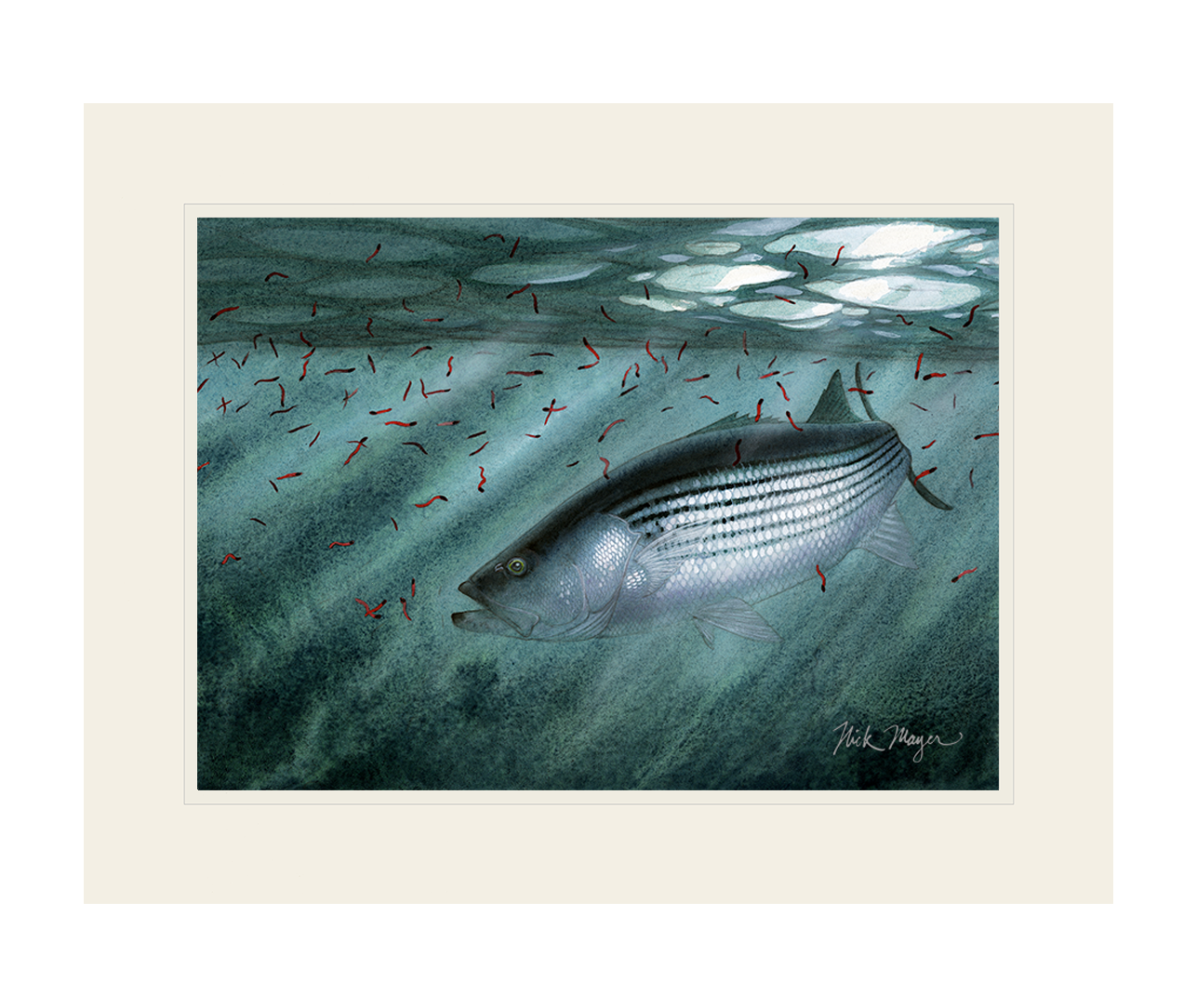 Moonlit Striper Limited Edition Print